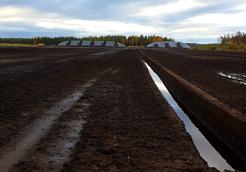 Peat production area with harvested peat fields used for energy production.