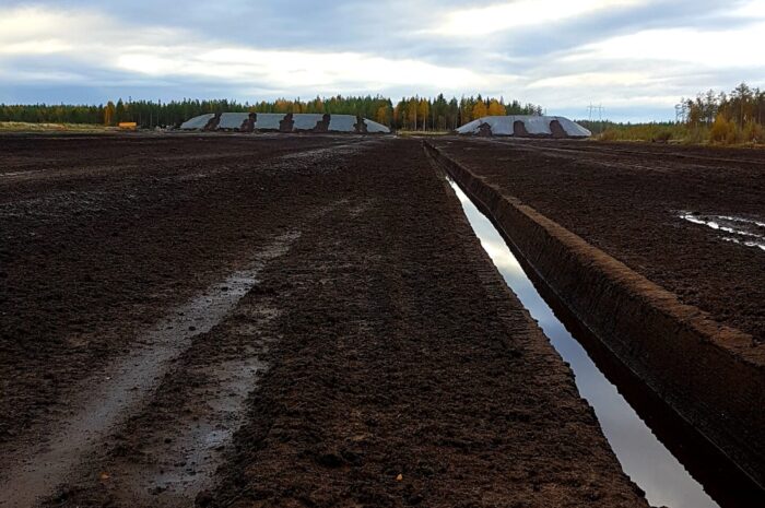 Peat production area with harvested peat fields used for energy production.